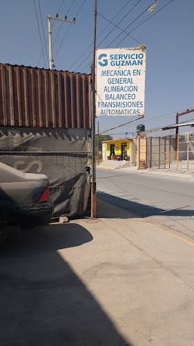 Servicio Guzman