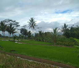 Puncak Gunung Andong photo