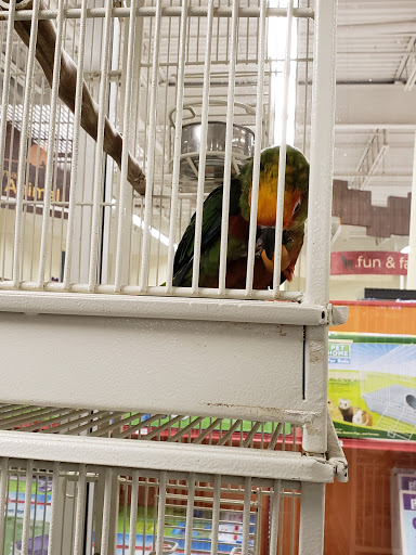 Pet Supply Store «Petco Animal Supplies», reviews and photos, 2131 Pleasant Hill Rd, Duluth, GA 30096, USA