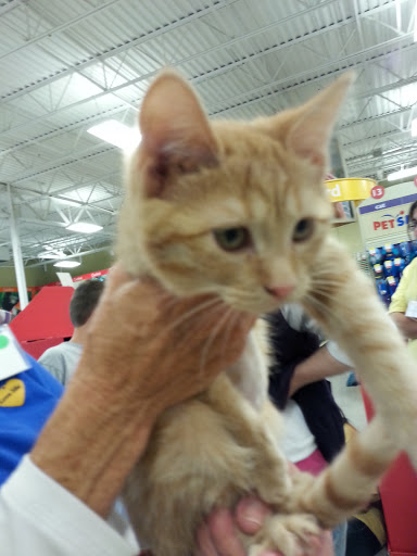 Pet Supply Store «PetSmart», reviews and photos, 6675 S Virginia St, Reno, NV 89511, USA