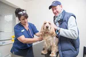 Lakeview Veterinary Surgery image