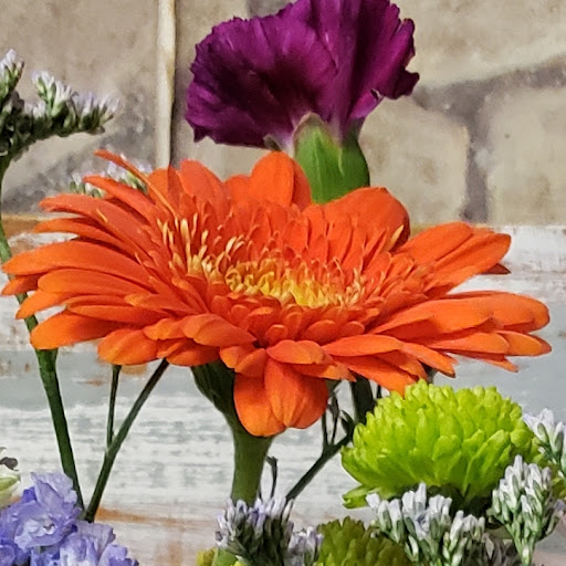 Florist «Carrolls Florist of Beverly», reviews and photos, 385 Cabot St, Beverly, MA 01915, USA