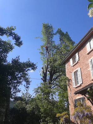 ceg à Mâcon