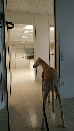 Fachtierarztpraxis Michael Heiden unter Wendelstein, Bayern