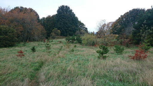 Park «Discovery Park», reviews and photos, 3801 Discovery Park Blvd, Seattle, WA 98199, USA