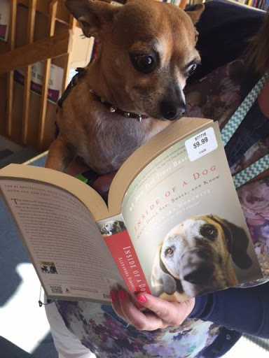 Book Store «The Book Garden», reviews and photos, 2 N Main St, Bountiful, UT 84010, USA