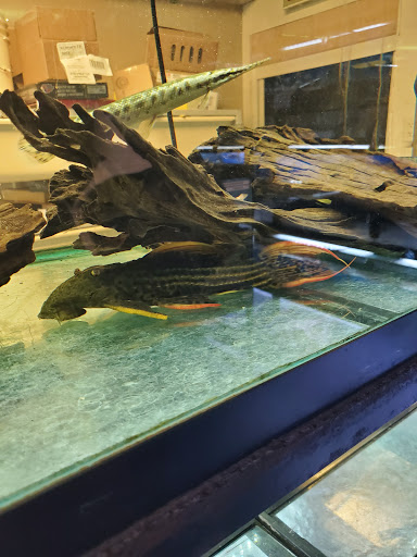 Pet Store «Animal Island Pet Shop», reviews and photos, 14411 S Cicero Ave, Midlothian, IL 60445, USA