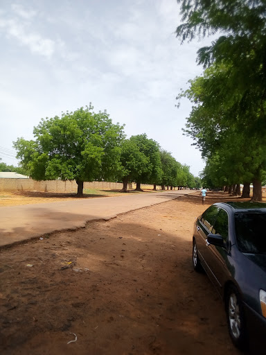 School of Matriculation Studies - UDUS, Mabera, Sokoto, Nigeria, Bank, state Sokoto
