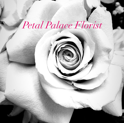 Florist «Petal Palace», reviews and photos, 15033 Nacogdoches Rd # 300, San Antonio, TX 78247, USA