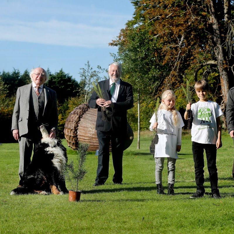 Easy Treesie - Crann UN Plant-for-the-Planet Woodland