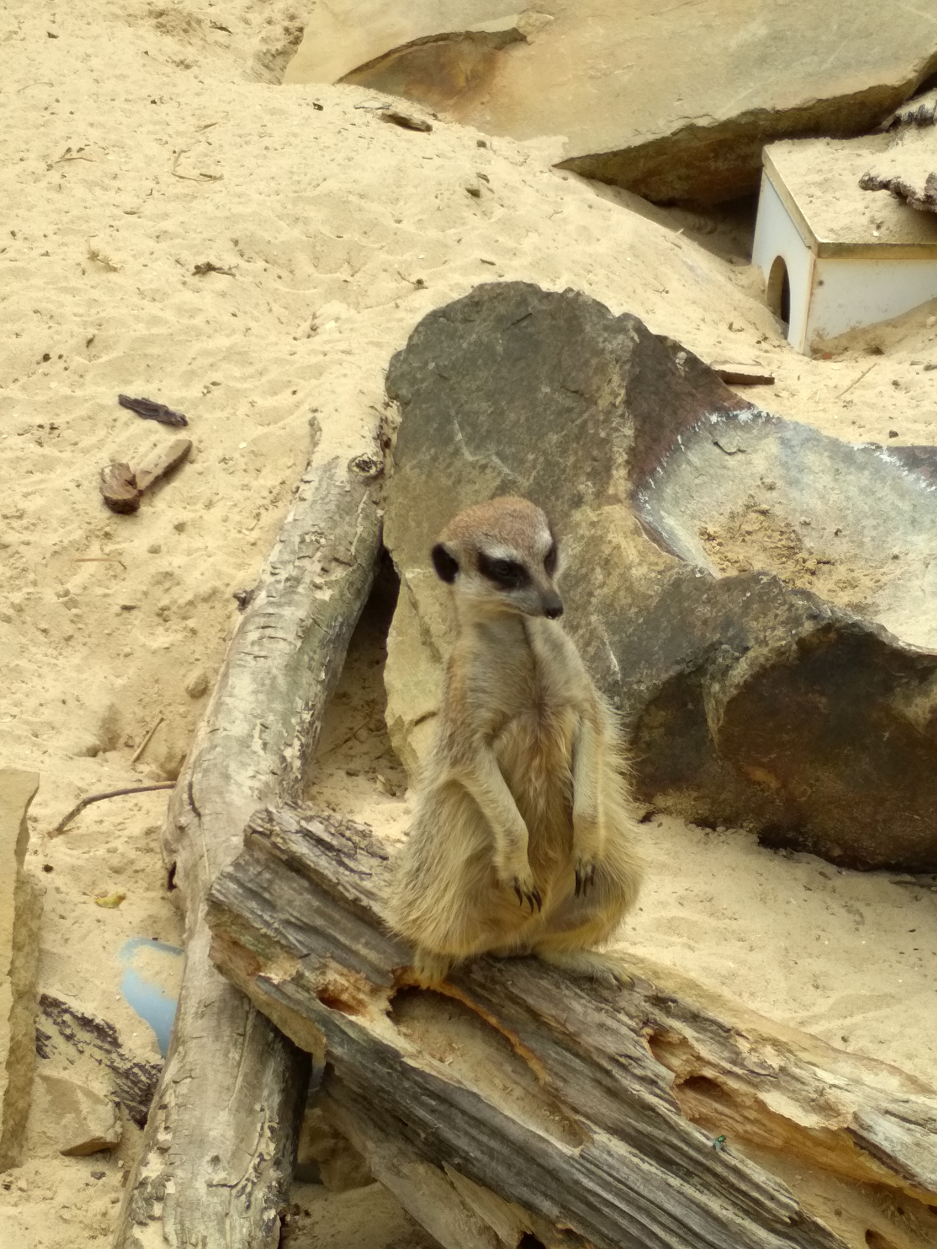 Photo n° 1 de l'avis de Anny.h fait le 03/08/2018 à 13:56