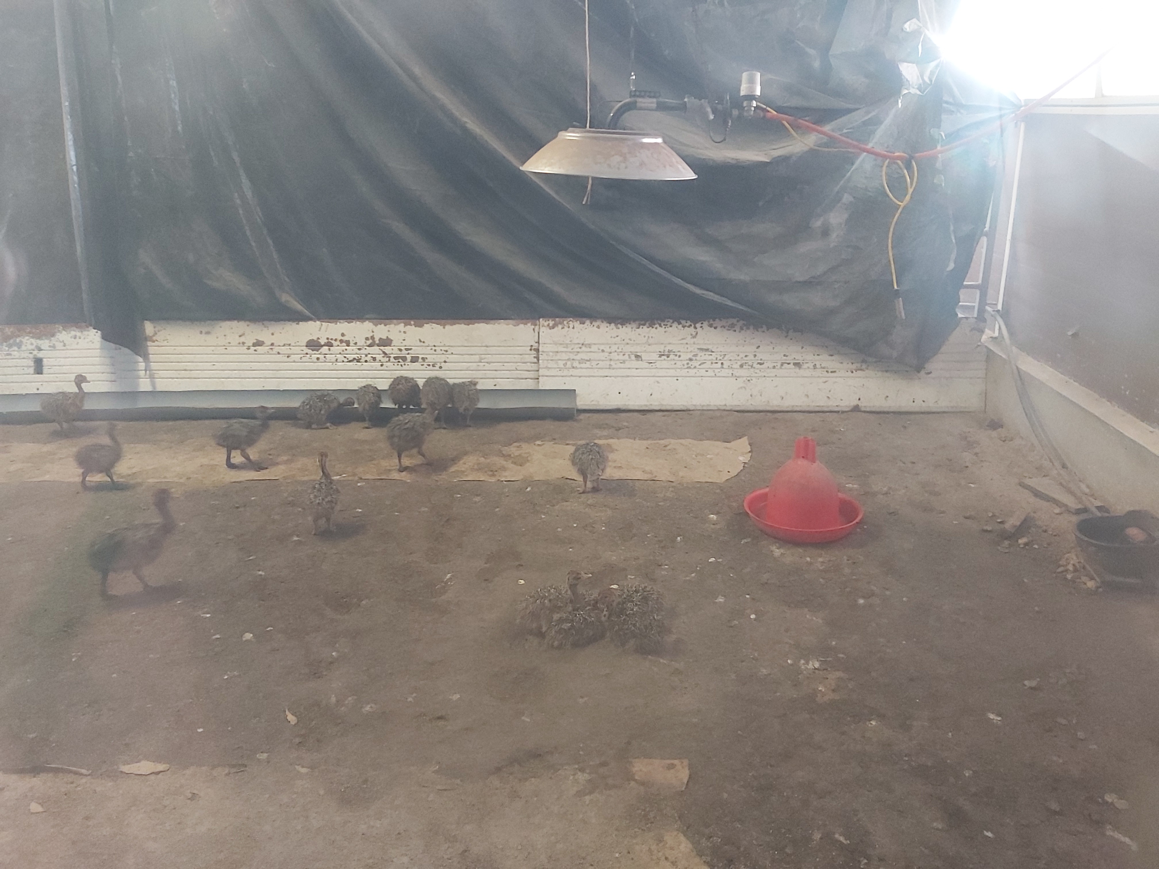 Photo n° 4 de l'avis de Guigeek_22. fait le 25/07/2020 à 21:01