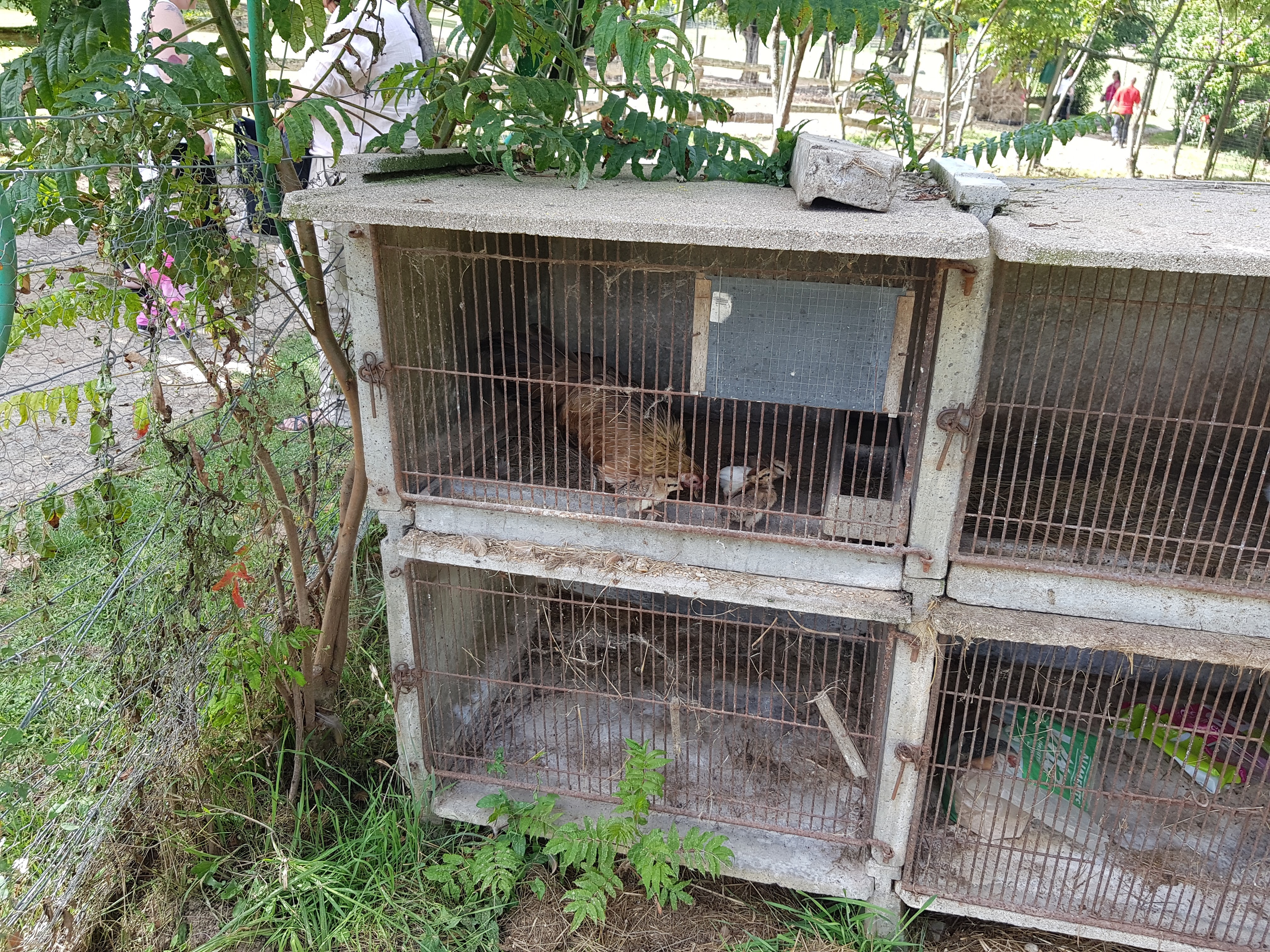 Photo n° 10 de l'avis de Gribs. fait le 13/08/2017 à 17:24