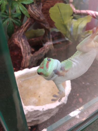 Pet Supply Store «Pet Supplies Plus», reviews and photos, 425 Water St, Chardon, OH 44024, USA