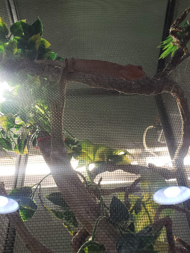 Pet Store «Pet Paradise Grooming», reviews and photos, 1115 Pueblo Blvd Way, Pueblo, CO 81005, USA