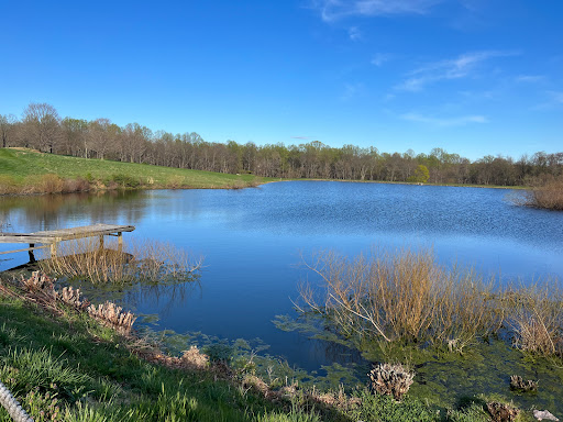 Public Golf Course «Rattlewood Golf Course», reviews and photos, 13501 Penn Shop Rd, Mt Airy, MD 21771, USA