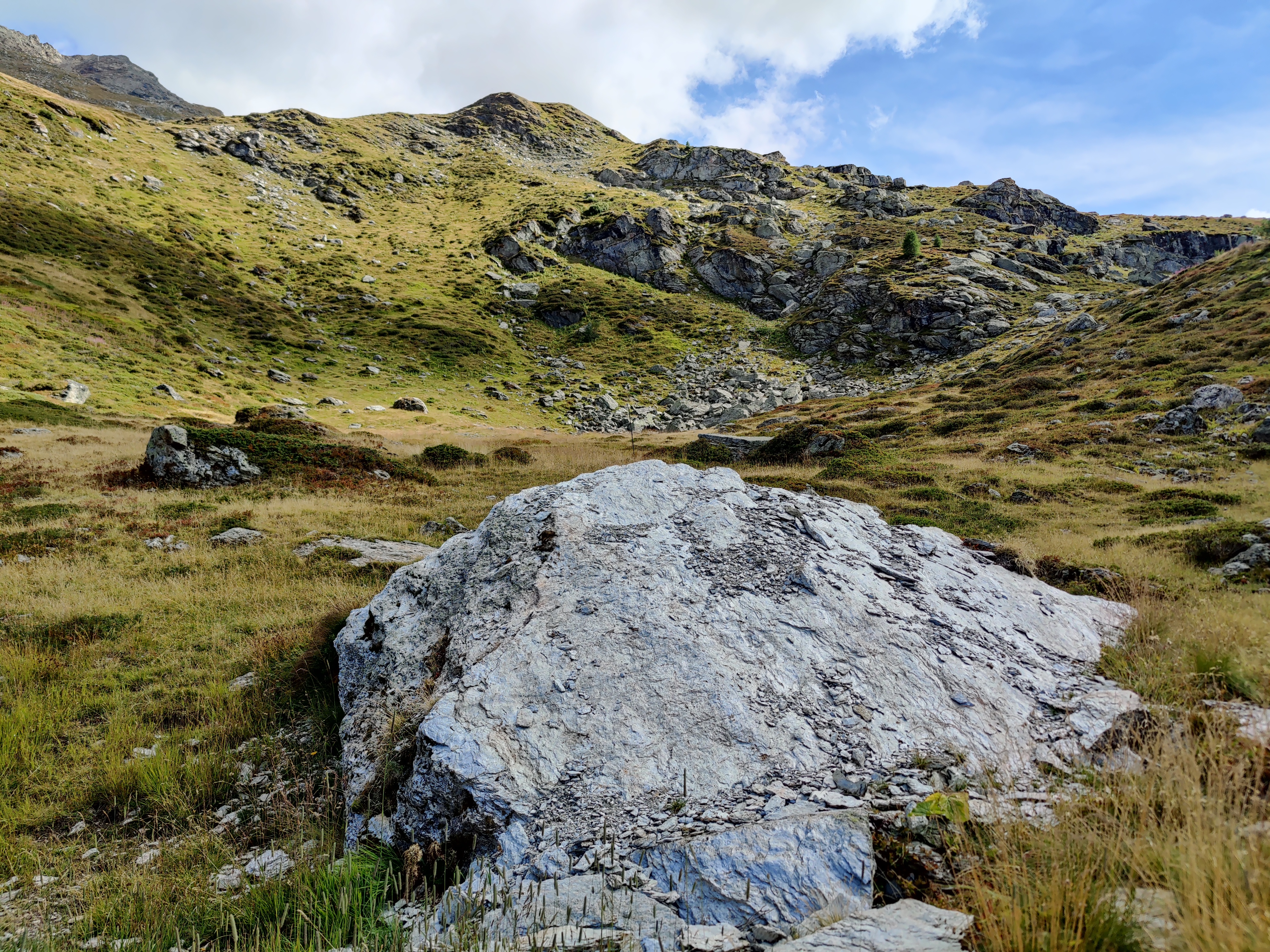 Photo n° 7 de l'avis de Sébastien.e fait le 21/08/2022 à 17:08