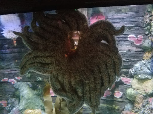 Amusement Center «LEGOLAND at Discovery Center Kansas City», reviews and photos, 2475 Grand Blvd, Kansas City, MO 64108, USA