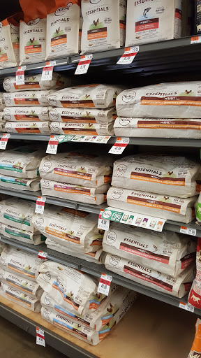 Pet Supply Store «Pet Supplies Plus», reviews and photos, 9500 Dorchester Rd #350, Summerville, SC 29485, USA