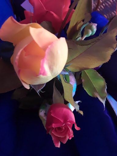 Park «Holladay Park», reviews and photos, NE Holladay St & NE 11th Ave, Portland, OR 97232, USA