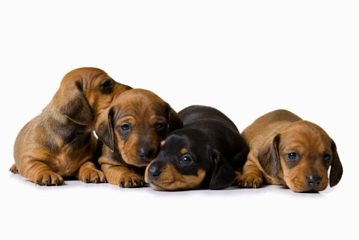 3801 N Capital of Texas Hwy F-100, Austin, TX 78746, USA