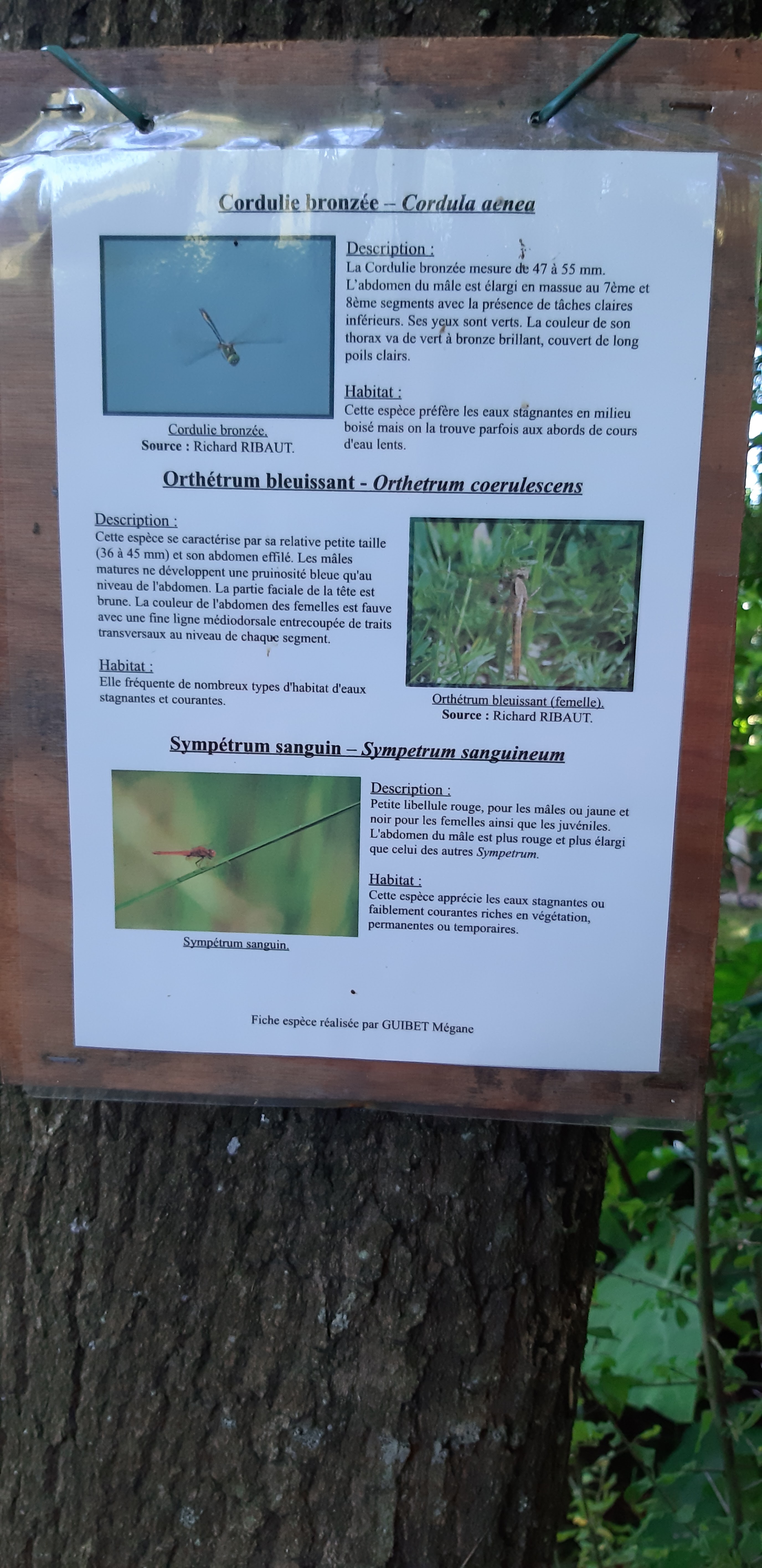 Photo n° 29 de l'avis de denis.o fait le 01/10/2019 à 12:55