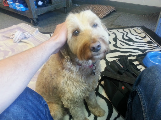 Computer Repair Service «Geeks Inc», reviews and photos, 2029 Henry St, Muskegon, MI 49441, USA