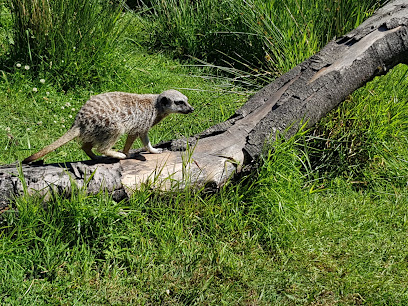 Haugaland Zoo