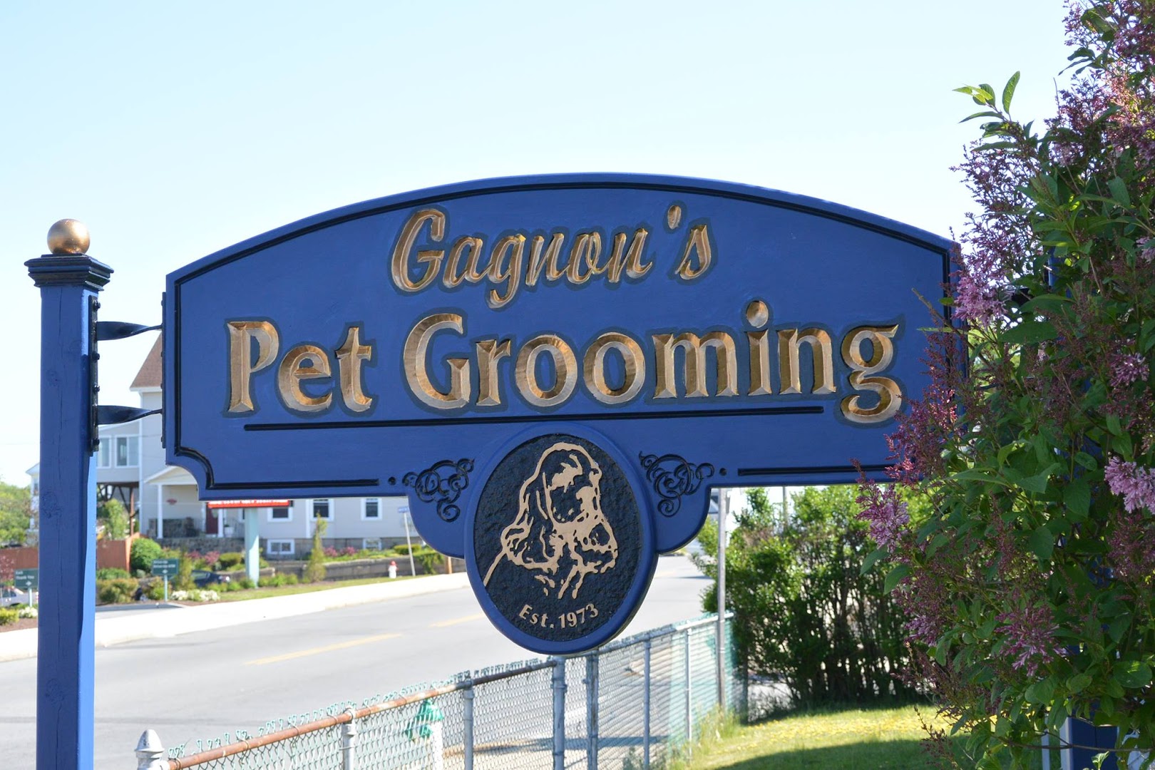 Gagnon's Pet Grooming