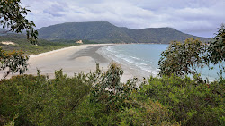 Photo de Oberon Bay Beach avec rivage droit, long