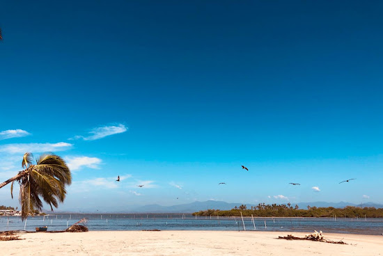 Playa pico del Monte