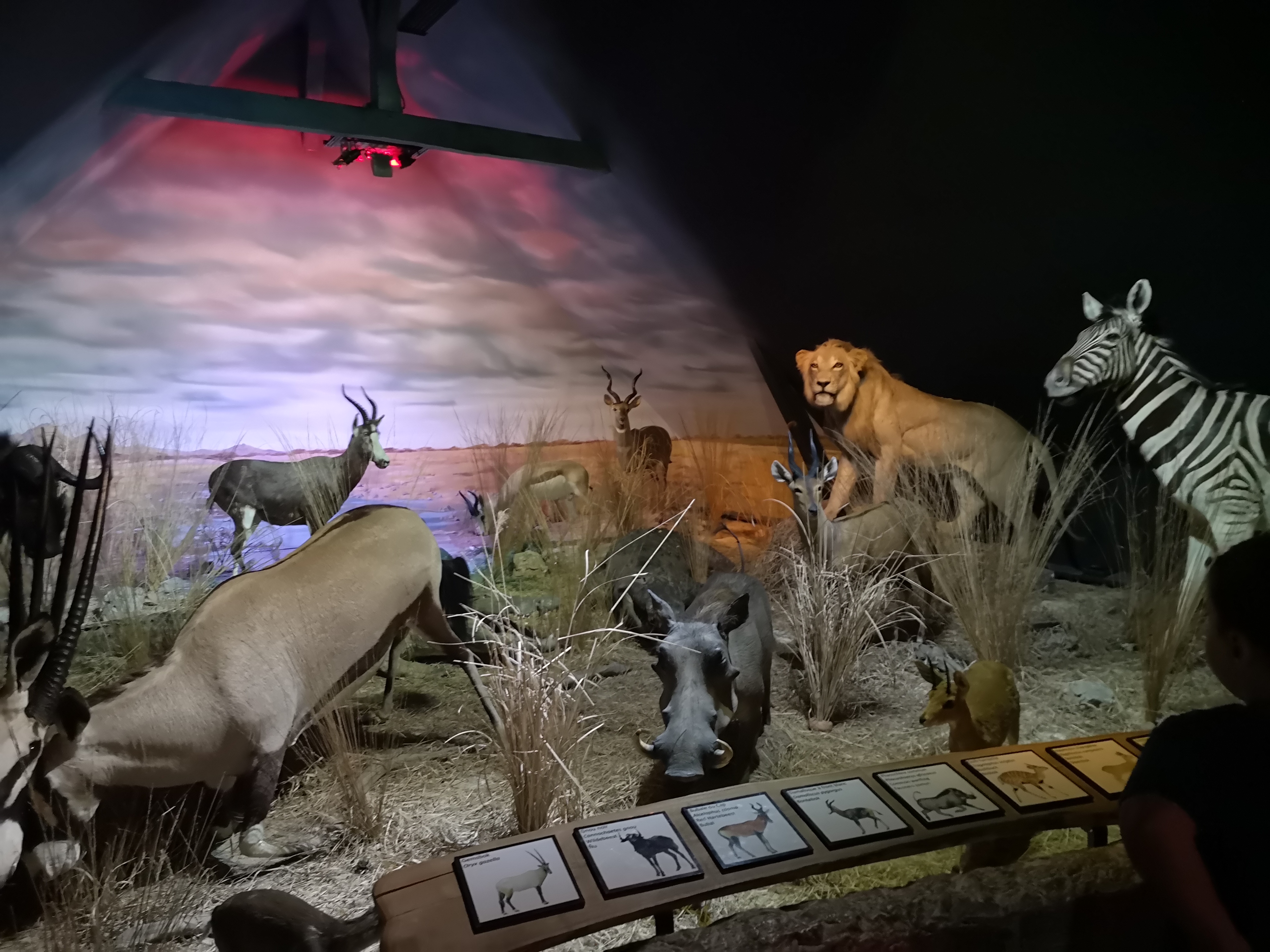 Photo n° 28 de l'avis de Xxx.x fait le 14/08/2020 à 21:01