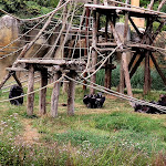 Photo n° 13 de l'avis de Hermes.a fait le 10/09/2023 à 11:48 pour Zoo de La Palmyre à Les Mathes