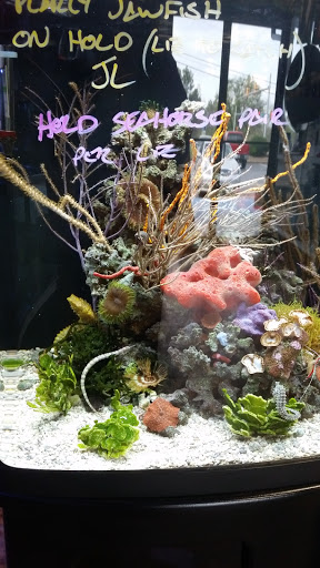 Tropical Fish Store «Premier Aquatics», reviews and photos, 1801 Roswell Rd, Marietta, GA 30062, USA