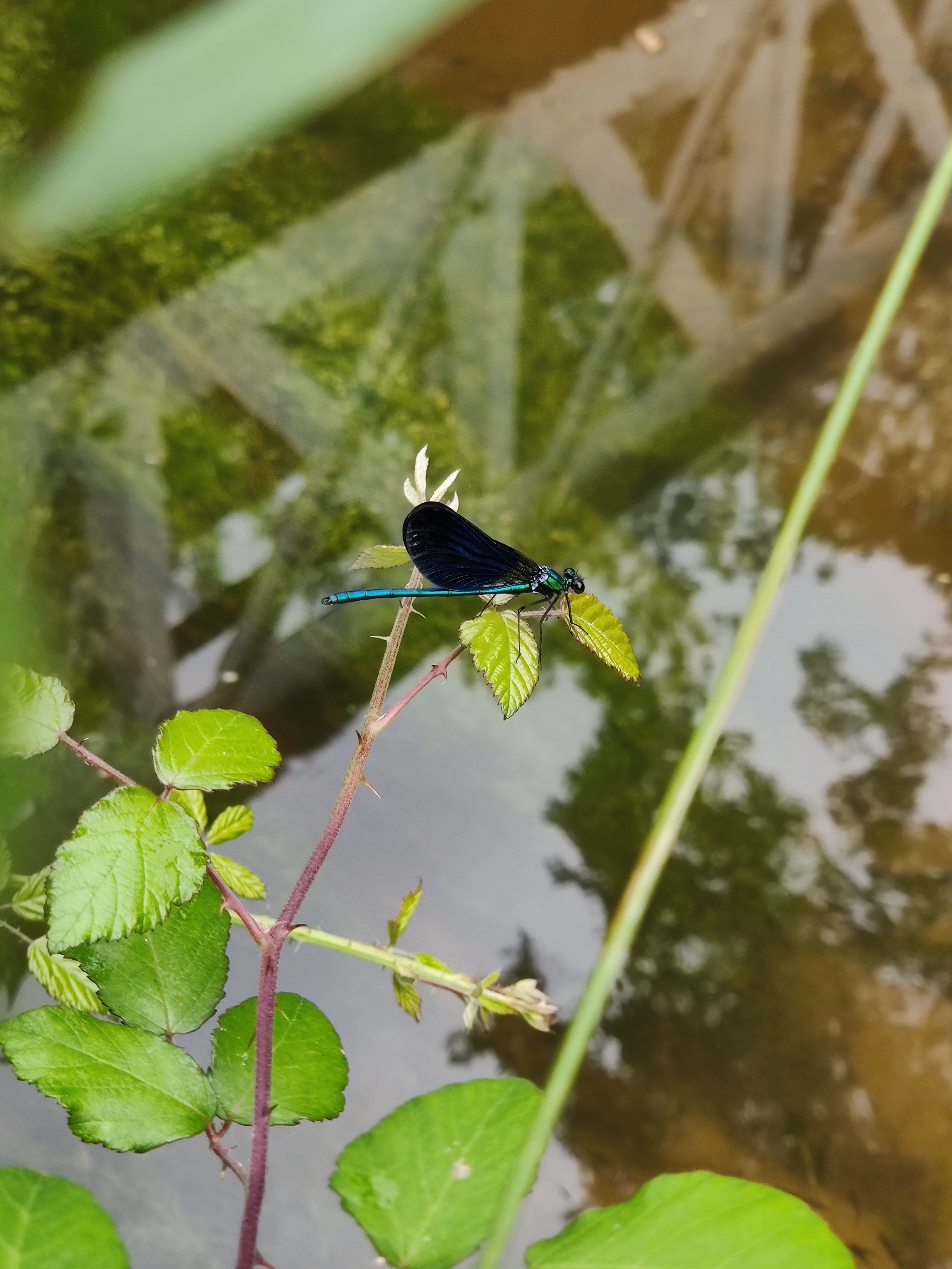 Photo n° 1 de l'avis de Cédric.o fait le 30/06/2019 à 16:21