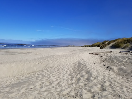 South Jetty Beach II photo #2