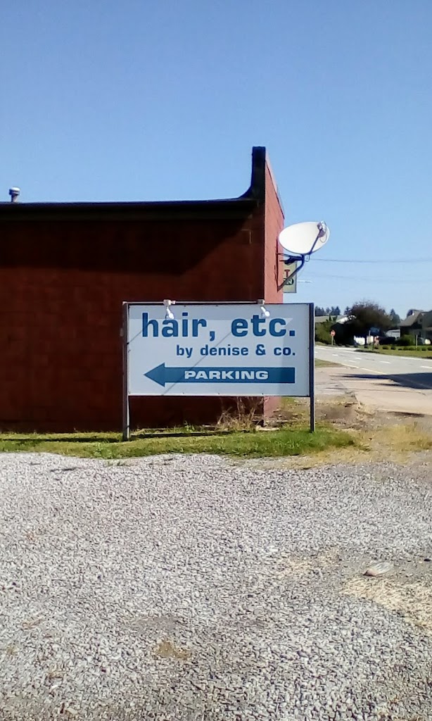 Hair Etc By Denise & Co 15065