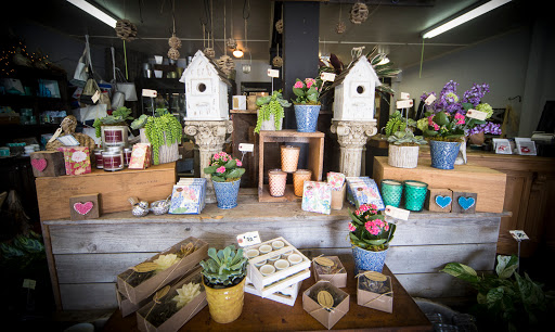 Florist «Fleur De Lis», reviews and photos, 460 Ocean St, South Portland, ME 04106, USA