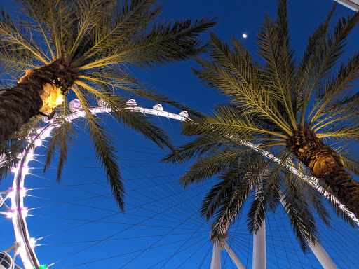 Tourist Attraction «High Roller», reviews and photos, 3545 S Las Vegas Blvd, Las Vegas, NV 89109, USA