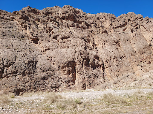 Insurance Agency «Rick Douglas - State Farm Insurance Agent», reviews and photos