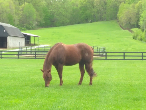 Nature Preserve «Jefferson Memorial Forest», reviews and photos, 11311 Mitchell Hill Rd, Fairdale, KY 40118, USA