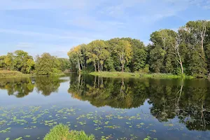 Jezioro Wilanowskie image