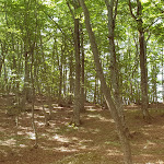 Photo n°4 de l'avis de Ciccio.o fait le 08/07/2019 à 10:25 sur le  Fonte Romana Bar Ristorante à Pacentro