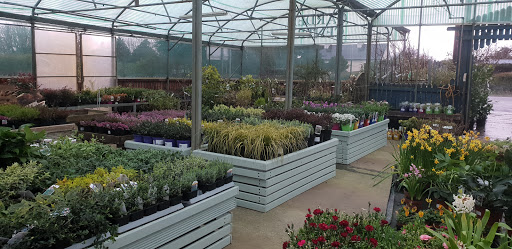 Shaw Garden Centre