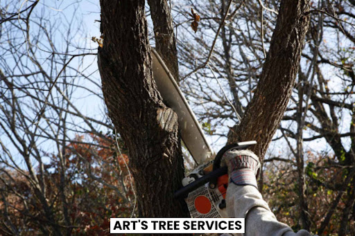 Art's Tree Services - Quality Tree Removal, Affordable Tree Trimming