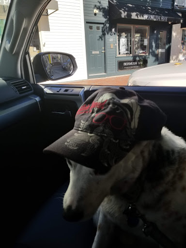 Gift Shop «Pleasant Surprise», reviews and photos, 121 Swinburne Row, Newport, RI 02840, USA