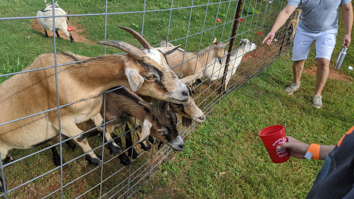 Farm «Warbington Farms (U-Pick Strawberries)», reviews and photos, 5555 Crow Rd, Cumming, GA 30041, USA