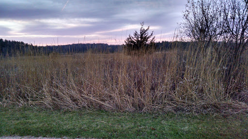 Nature Preserve «McDonald Woods Forest Preserve», reviews and photos, 19611 W Grass Lake Rd, Lake Villa, IL 60046, USA