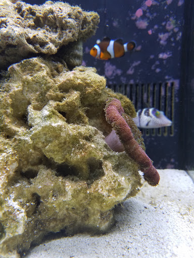 Pet Store «Animart», reviews and photos, 4303 E Towne Way, Madison, WI 53704, USA