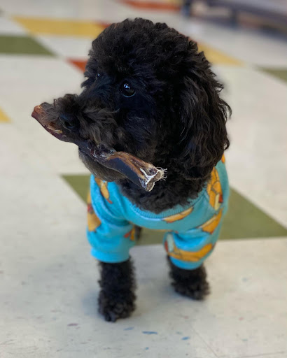 Pet Supply Store «Healthy Pet Products», reviews and photos, 9805 McKnight Rd, Pittsburgh, PA 15237, USA